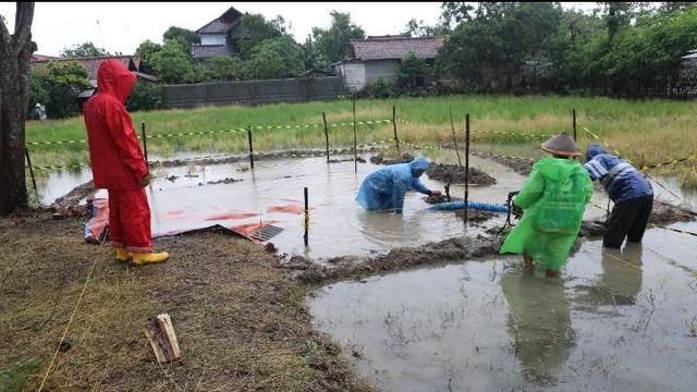 Proses Ekskavasi sementara bangunan diduga candi Situs Dingkel di Dingkel Desa Sambimaya Kecamatan Juntiyuat Indramayu. (Foto: Liputan6.com/Panji Prayitno)