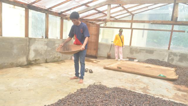 Tengkawang. (Foto: Liputan6.com/Aceng Mukaram)