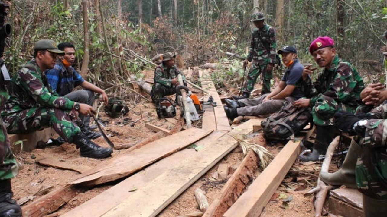 Aksi Marinir gagalkan illegal logging di Taman Nasional Sembilang