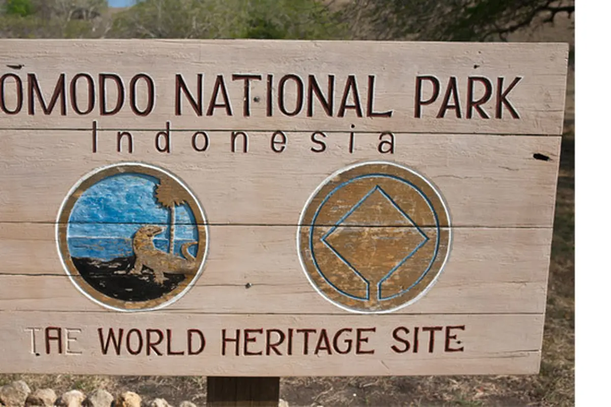 Pengakuan Pengunggah Foto Pembantaian Rusa Diduga di Pulau Komodo