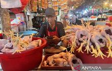 Indonesia Surplus 300 Ribu Ton! Kementan Pastikan Stabilisasi Harga Ayam Pedaging untuk Peternak dan Konsumen