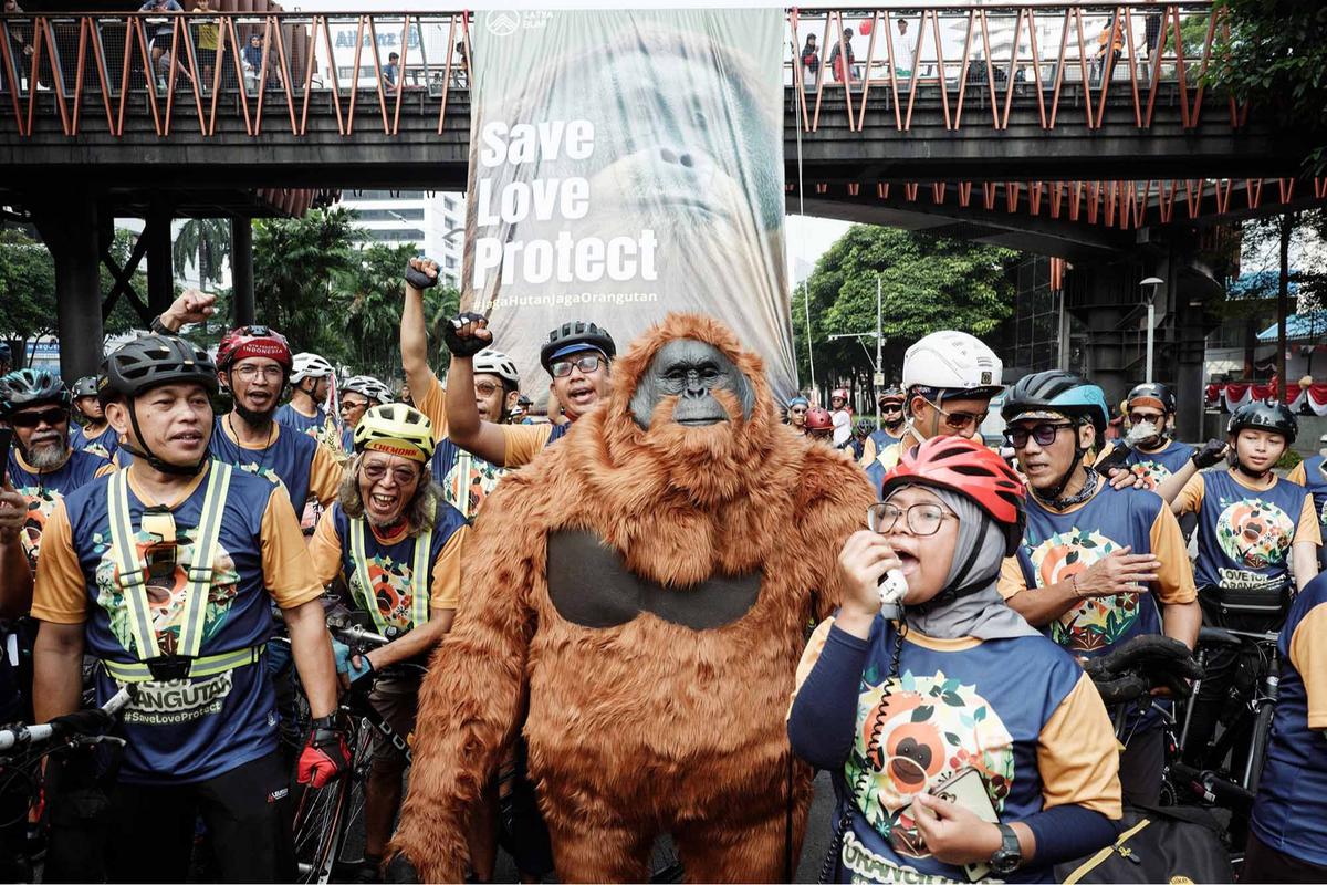 FOTO: Gowes Berkostum Orangutan di Jakarta, Seruan untuk Selamatkan Habitat Satwa Langka