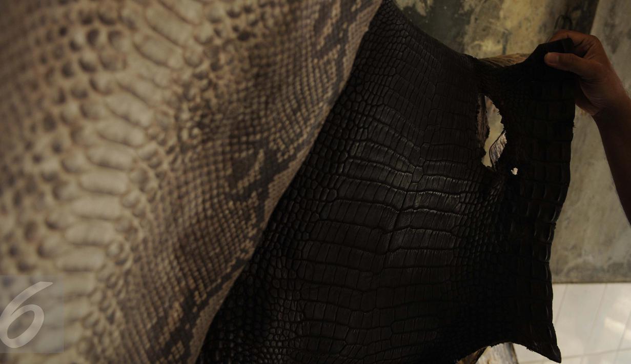 Pekerja bersiap membuat hasil kerajinan berbahan kulit ular di bengkel kerja, Cibitung, Jawa Barat, Jumat (24/3). Saat ini, produk unggulan berbahan dasar kulit ular tersebut adalah dompet, sepatu, sabuk dan tas. (Liputan6.com/Gempur M Surya)