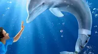 Kesan manis yang ditinggalkan Dolphin Tale di layar lebar dipastikan tak akan berhenti di situ saja.