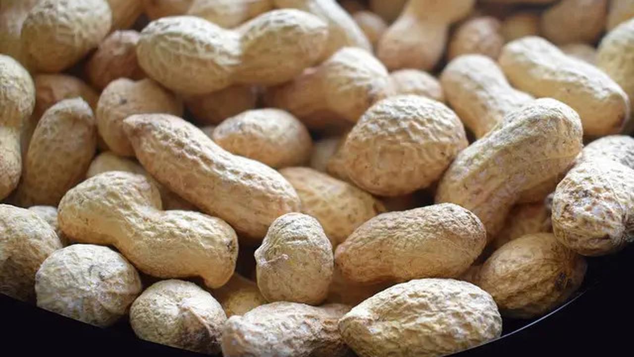 Tips Merebus Kacang Tanah agar Cepat Empuk dan Gurih, Irit Gas dan Praktis