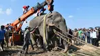 Gajah liar yang dijuluki Osama bin Laden diangkat menggunakan crane saat diangkut di Divisi Hutan Rongjuli, Distrik Goalpara, Assam, India, Selasa (12/11/2019). Osama bin Laden ditangkap setelah menginjak mati lima warga desa akhir Oktober lalu. (Biju Boro/AFP)