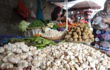 Bawang Putih Impor Segera Masuk, Harga Diprediksi Turun Jelang Ramadan