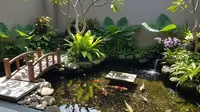 8 Inspirasi Kolam Ikan Dangkal ala Jepang untuk Halaman Rumah Kecil, Asri Buat Rileksasi