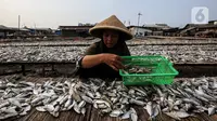 Pekerja menjemur ikan asin di kawasan Kampung Nelayan Muara Angke, Jakarta, Kamis (3/6/2021). Realisasi anggaran pemulihan ekonomi nasional (PEN) hingga 21 Mei 2021 mencapai Rp 183,98 triliun atau 26,3 persen dari total pagu anggaran sebesar Rp 699,43 triliun. (Liputan6.com/Johan Tallo)