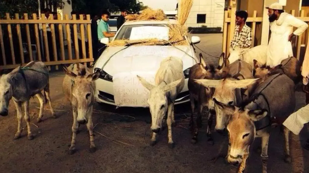 Pemilik Jaguar XF di India Pilih Tunggangi Keledai Daripada Mobil