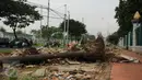 Sisa batang pohon masih terlihat jalur pedestrian di Jalan Gerbang Pemuda Senayan, Jakarta, Selasa (12/7/2016). Pasca pengosongan pertengahan Mei lalu, hingga kini jalur pejalan kaki di kawasan ini masih berantakan. (Liputan6.com/Helmi Fithriansyah)