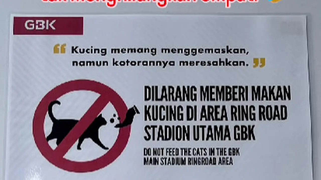 Muncul Tanda Dilarang Memberikan Makan Kucing Liar, GBK Dianggap Tak Ada Empati