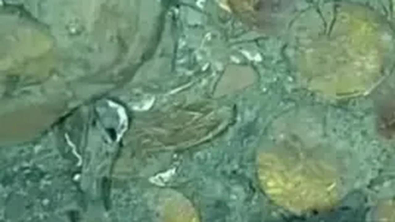 Tidur di Lautan Bersama 200 Ton Kekayaan<br>