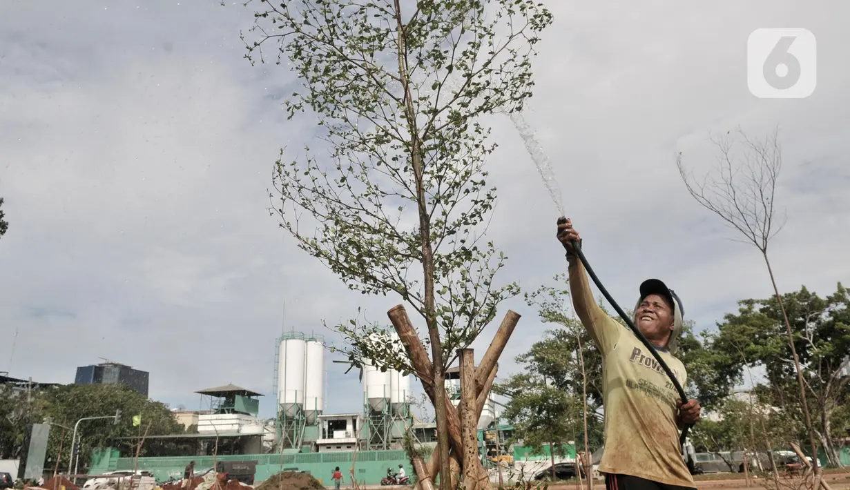 Pekerja menyemprot tanaman saat menyelesaikan proyek revitalisasi Taman Danau Sunter, Jakarta, Senin (9/3/2020). Revitalisasi ini untuk mengubah lahan kosong sekitar Danau Sunter menjadi area pembibitan tanaman, taman interaktif warga, dan destinasi wisata air terpadu. (merdeka.com/Iqbal Nugroho)