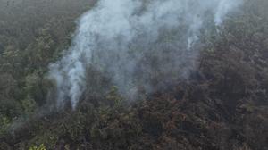 Sudah Diguyur Hujan Semalaman, Mengapa Kebakaran Hutan di OKI Belum Padam?