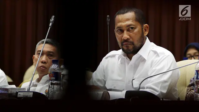 Tampil Brewokan, Buwas Bahas Anggaran Bulog di DPR