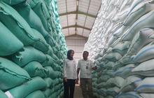 Bulog Tulungagung Tambah Gudang, Optimalkan Serapan Hasil Panen Petani