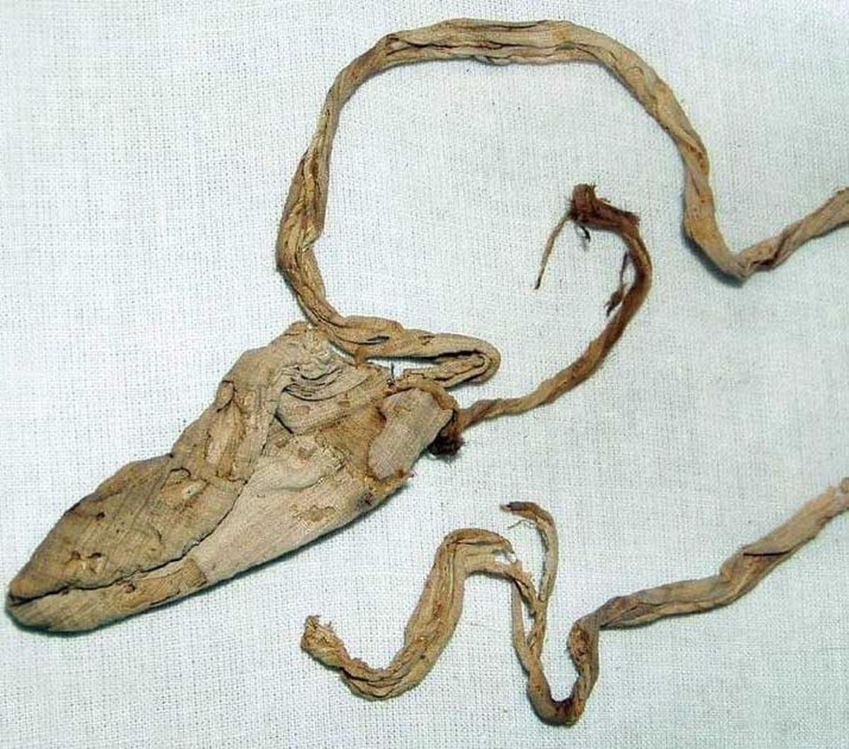 Kondom ini berisi jejak DNA Tutankhamun. Alat kontrasepsi kuno ini terbuat dari sehelai kain linen, yang direndam dalam minyak zaitun, dan ada sebuah tali dari kain yang dapat diikatkan ke pinggang.