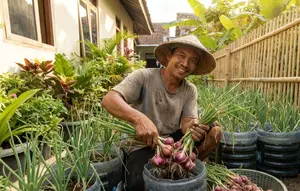 8 Cara Memperbesar Batang Bawang Merah agar Umbinya Lebih Besar dan Berisi