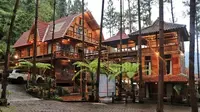 Wisata Guci Forest, Surga Tersembunyi di Lereng Gunung Slamet