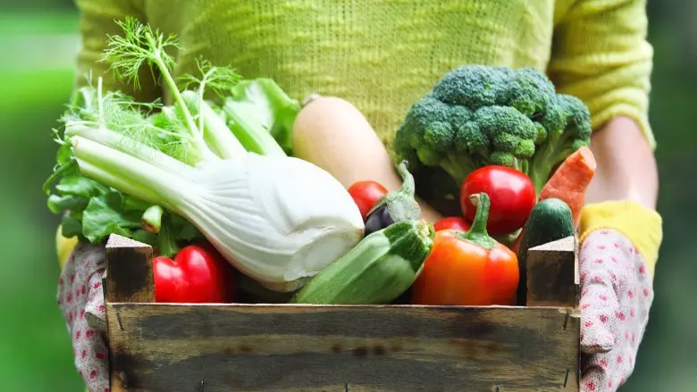 Yuk ketahui jenis sayur apa saja yang harus disantap kalau kamu ingin langsing. (Sumber Foto: shutterstock/TheList)