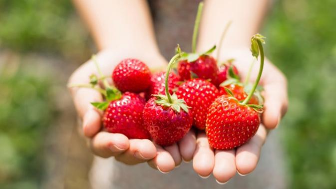 10 Mitos Tentang Buah Buahan Boleh Percaya Boleh Tidak Lifestyle Fimela Com