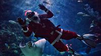 Seorang penyelam berpakaian seperti Sinterklas melambai dari dalam kolam penuh hiu dan pari di akuarium Sea Life Bangkok Ocean World di Bangkok, Thailand, Rabu (8/12/2021). Bangkok Ocean World menggelar pertunjukan selam Sinterklas untuk menyambut Natal. (Lillian SUWANRUMPHA / AFP)