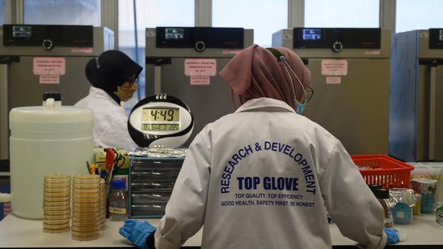 Intip Produksi Sarung Tangan Sekali Pakai di Malaysia