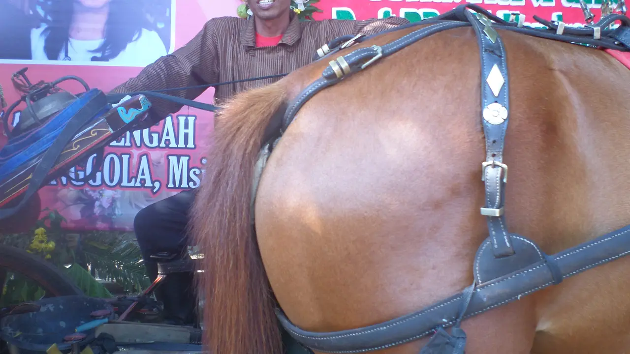 [Bintang] Ngabehi Sunardi