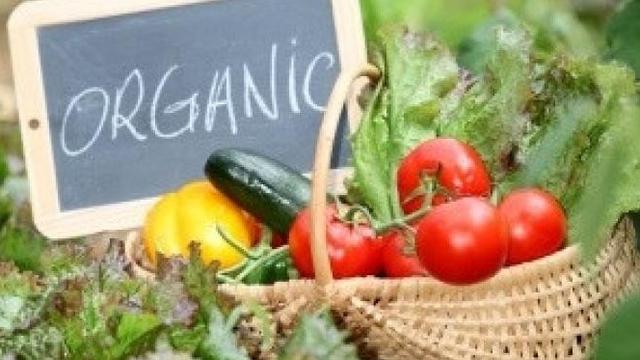 Image result for makanan organik