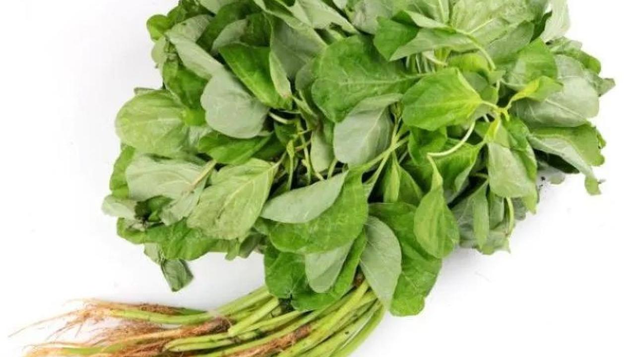 Cara yang digunakan juga sama seperti daun pandan. Kamu cukup menghaluskan sawi atau bayam dengan blender kemudian saring airnya dan bisa langsung kamu gunakan sebagai pewarna makanan.