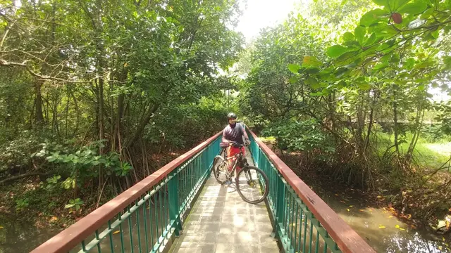 Mangrove Ecotourism Centre PIK (Foto: Google Maps)