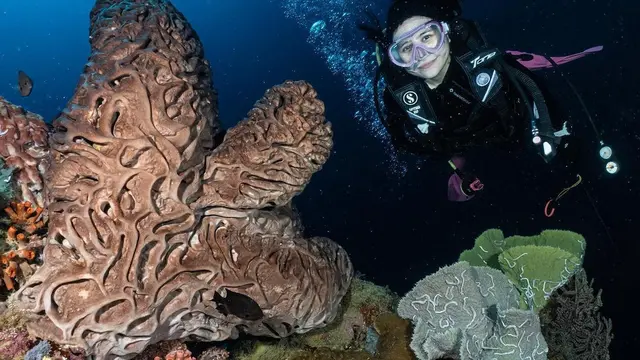 Prilly Latuconsina (Instagram/prillylatuconsina96)