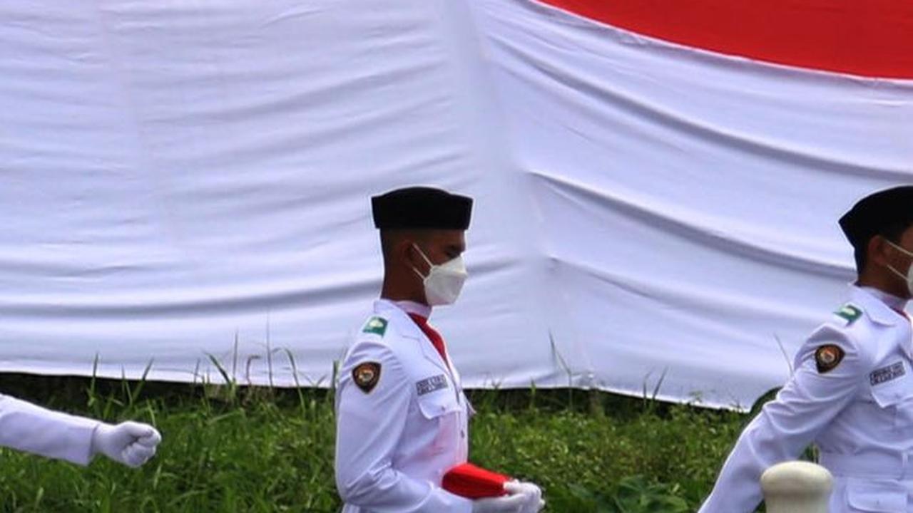 Fungsi Bahasa Indonesia sebagai Bahasa Negara