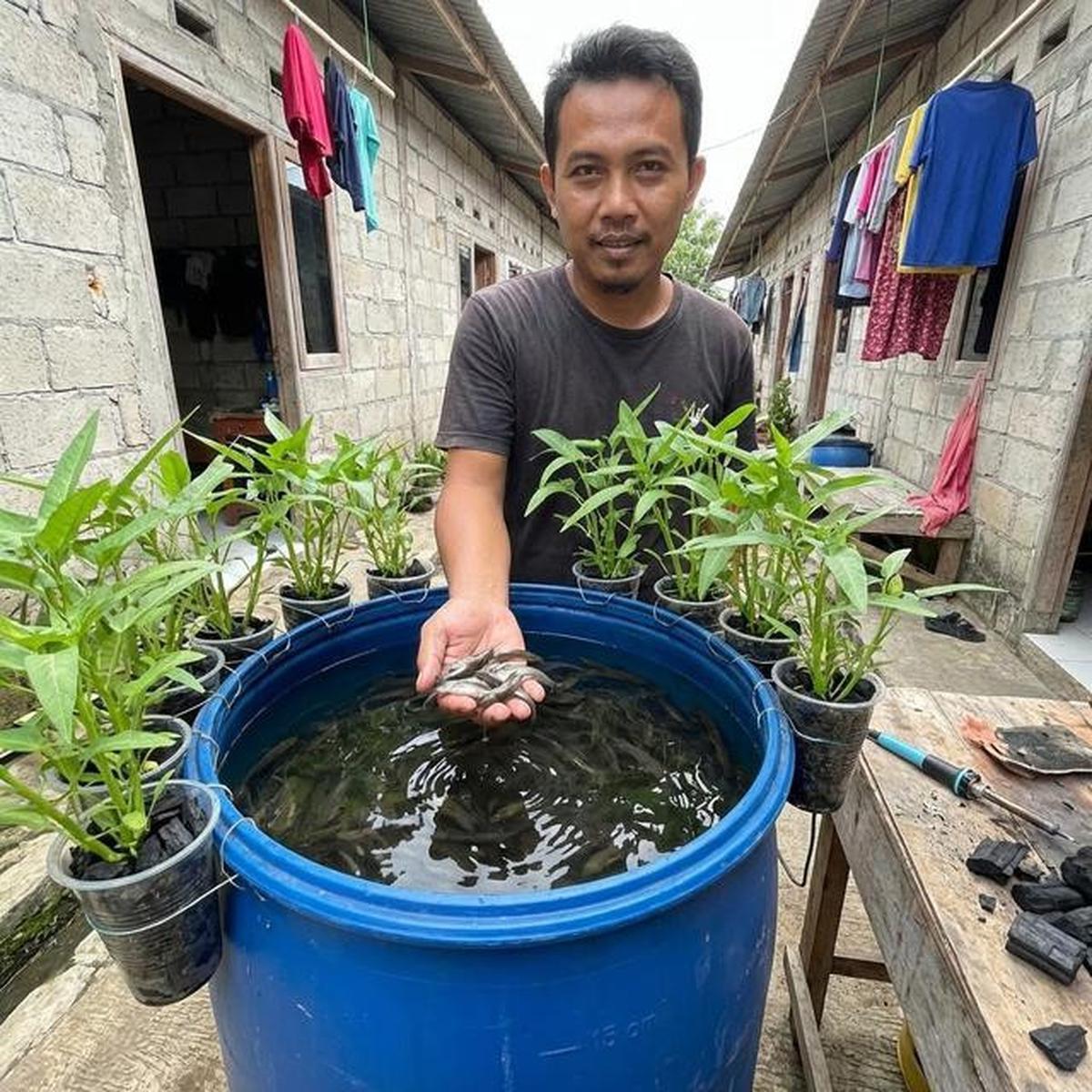 Cara Buat Kolam Lele dari Ember, Hasil Panen Sehat dan Melimpah