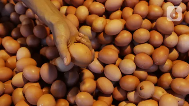 Peredaran Telur Ayam Infertil Dilarang