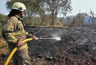 Diduga sengajar, 30 Hektare Alang-alang di terbakar Cilincing Terbakar