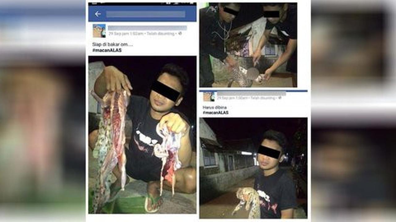 Lagi, Facebooker pamer foto bantai kucing hutan