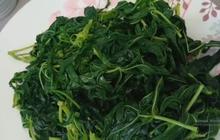 Rahasia Daun Singkong Tetap Hijau Segar Meski Direbus Lama