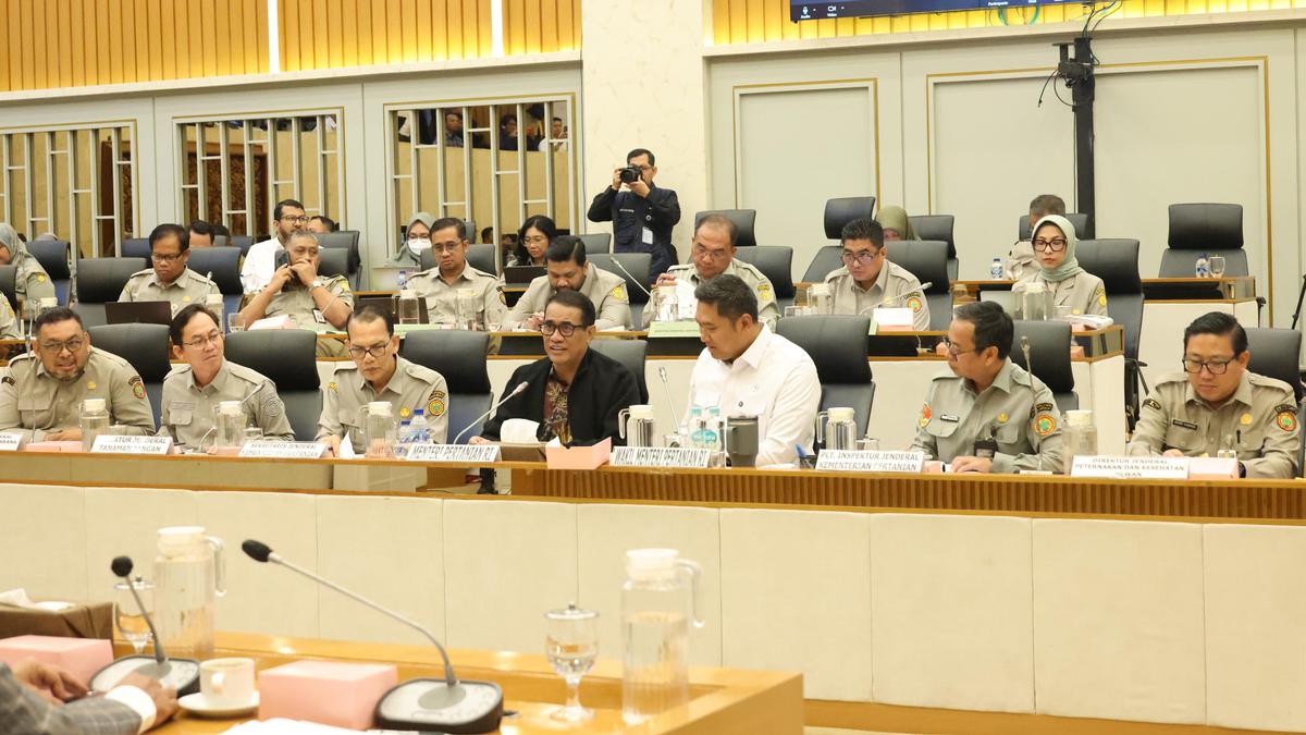 Mentan Amran Janji Jaga Nasib Petani, Anggota DPR Soroti Hal Ini