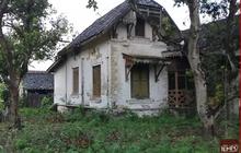 Melihat Rumah-Rumah Kolonial Tua di Tengah Hutan Jati Grobogan, Kental Nuansa Klasik
