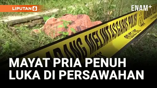 VIDEO: Mayat Pria Penuh Luka Ditemukan di Tepi Persawahan