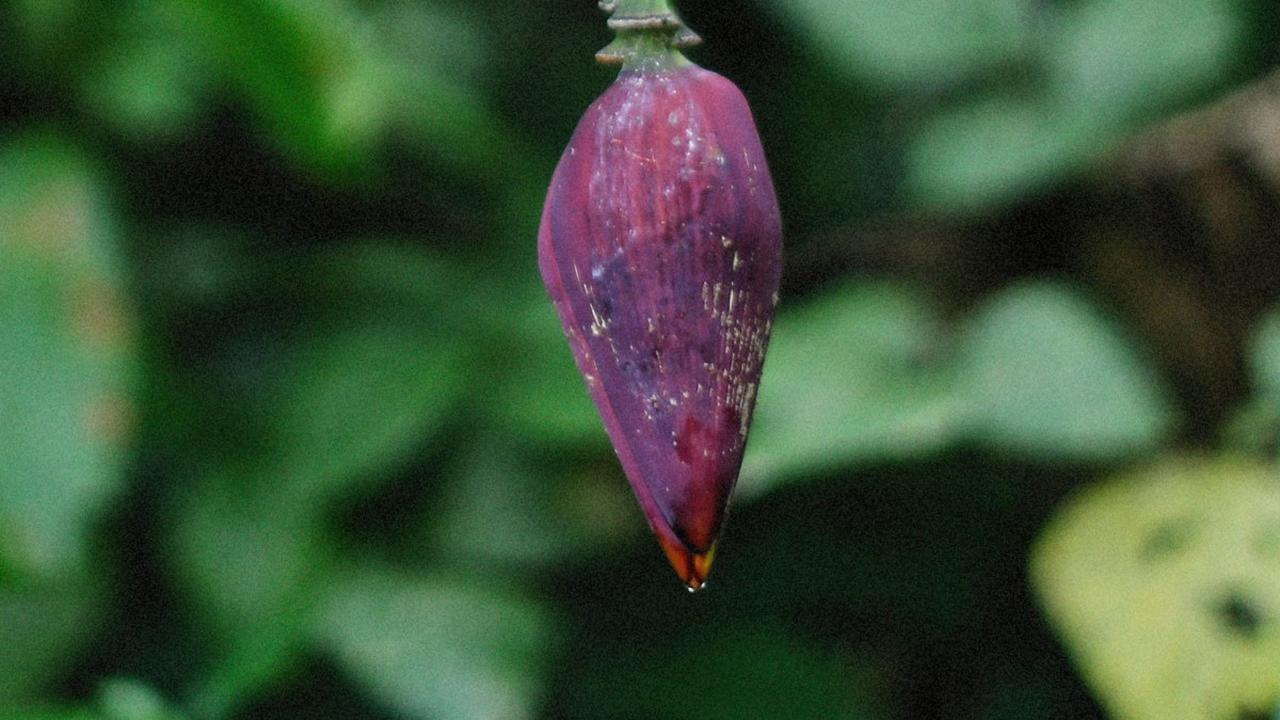 3.&nbsp;Mencegah Infeksi