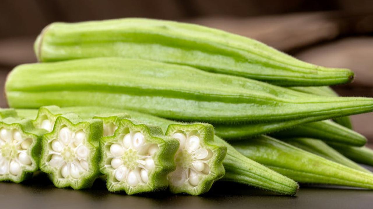 Ilustrasi Okra
