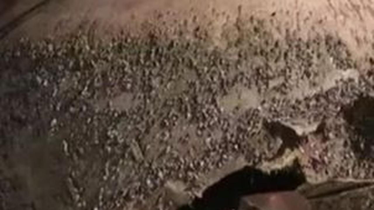 Benda Misterius yang Terdampar di Pantai Australia Akhirnya Terungkap
