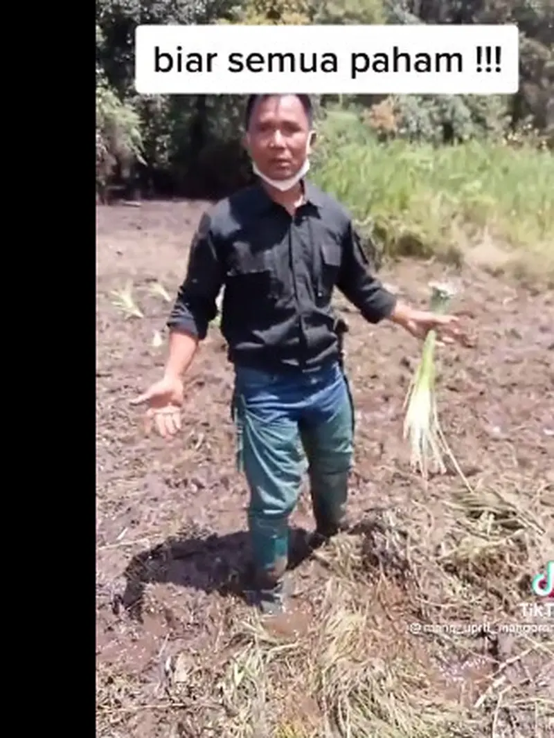 Viral Komunitas Motor Trail Rusak Ladang Edelweiss Rawa di Ranca Upas, Bikin Warganet Geregetan