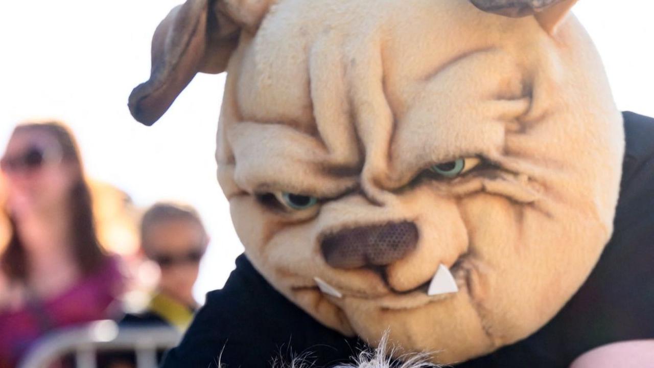 Kompetisi Anjing Paling Jelek di Dunia diadakan untuk ke-34 kalinya. Tahun ini, pemenang dianugerahi hadiah sebesar&nbsp;USD5.000, atau setara Rp82 juta.&nbsp;Foto: Josh Edelson/AFP