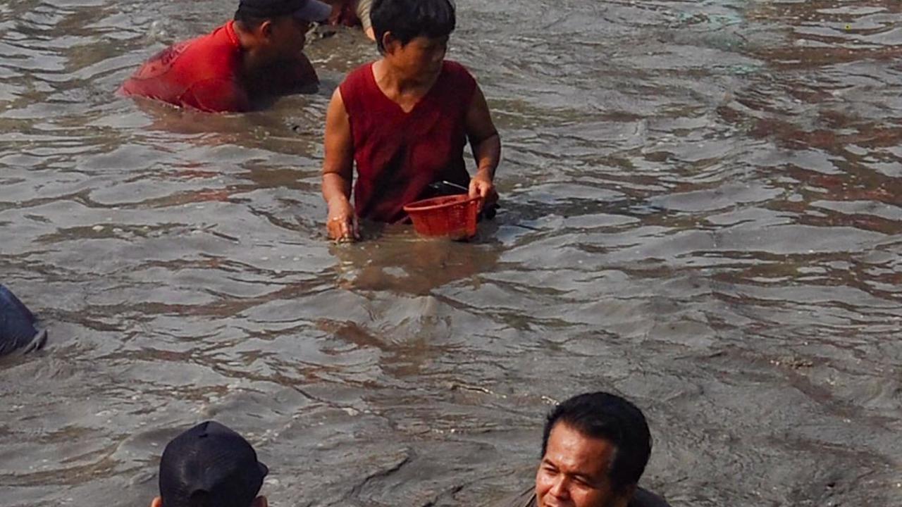 Sebanyak lima kwintal ikan mas disebar di empang yang berlokasi di Jalan Abdul Ghani Raya, Kelurahan Kalibaru, Kecamatan Cilodong, Kota Depok. Foto: Merdeka.com/Arie Basuki<br>