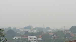 Kabut Asap Batam, Ombudsman Desak Sekolah Alihkan Belajar ke Rumah