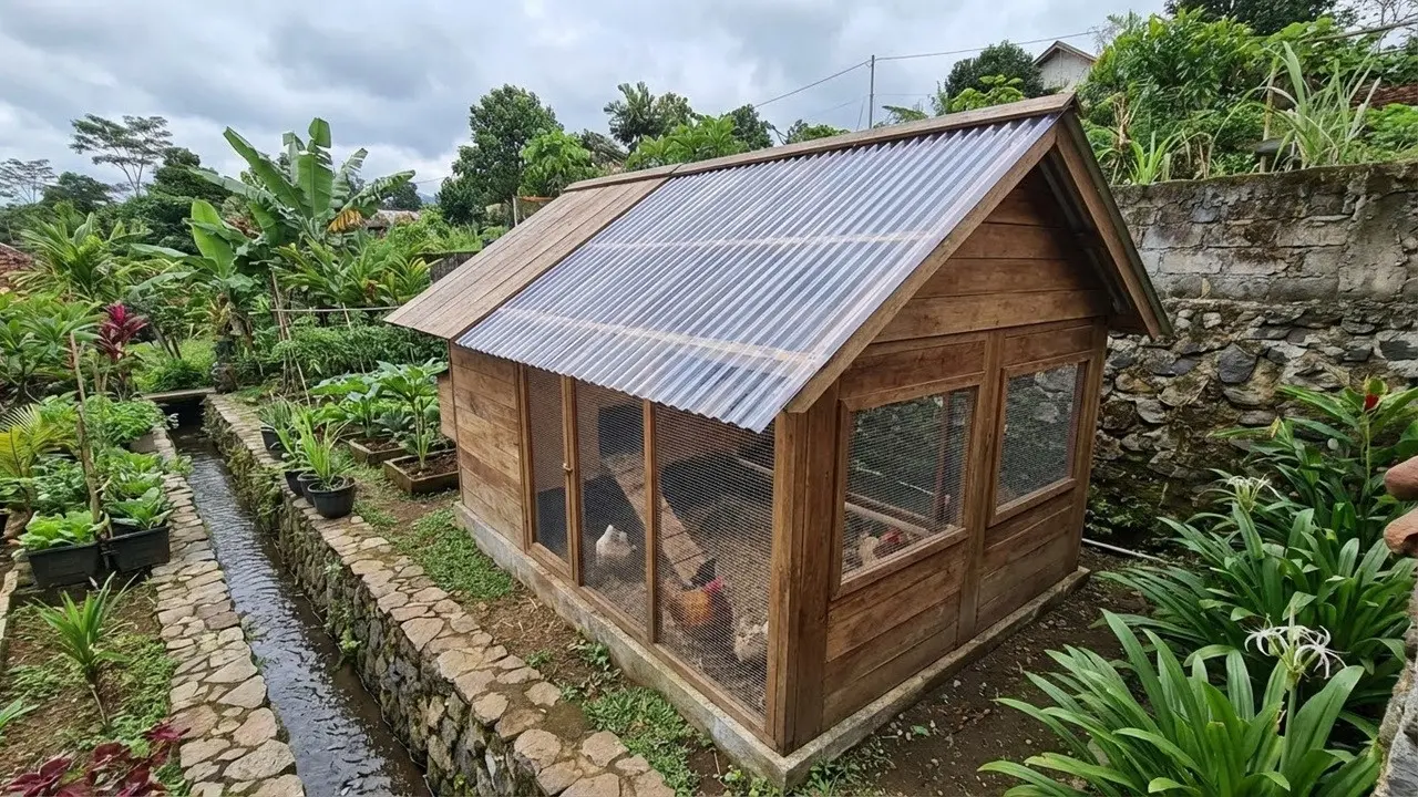 Model Kandang Ayam 2 Meter